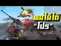 ไม่ใช้สกินปืน แต่งตัว "ไก่"...สุ่มทีม เพื่อนบอกเรา "โปร...เพลเยอร์" | Garena Free Fire