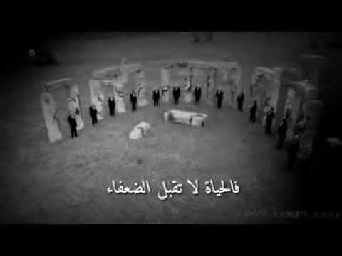 في هذه الدنيا كن قويا فالحياة لا تقبل الضعفاء حالات واتساب Youtube