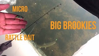 Sight fishing in February!! FROSTBITE MICRO TANTRUM 