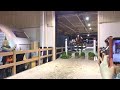 Jeroen Dubbeldam in action!