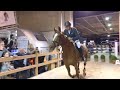 Jeroen Dubbeldam in action!