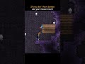 This Terraria Mouse Mount just broke the system This Terraria Mouse Mount just broke the system
