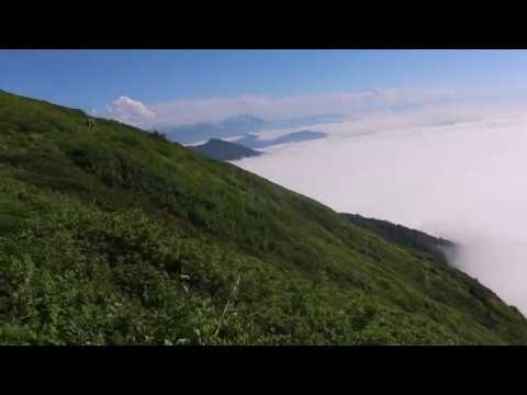 კინტრიშის დაცული ტერიტორიები | Kintrishi Protected Areas