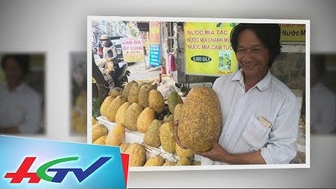 Lạ lẫm bưởi “khủng” chưng Tết hơn chục ký | BẢN TIN KINH TẾ NÔNG NGHIỆP - 12/02/2018