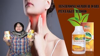 Testimoni kesembuhan penderita Tiroid dengan herbal QnC Jelly Gamat
