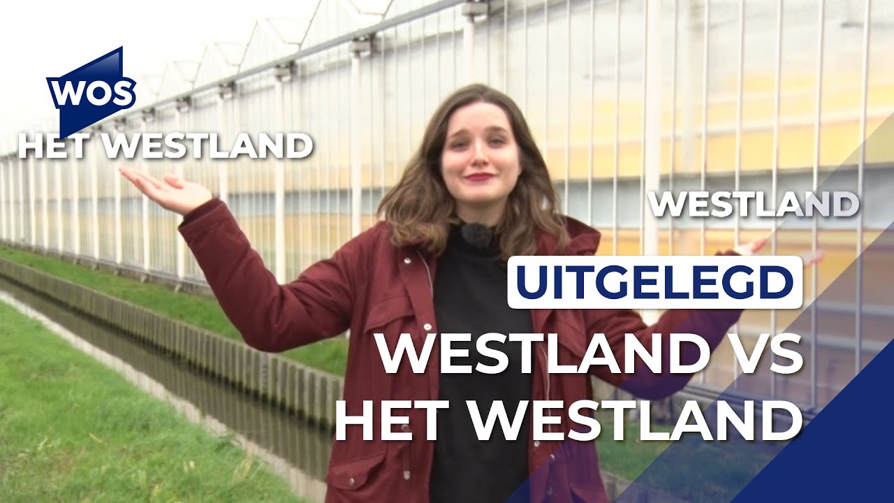 Westland vs Het Westland