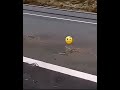 bmw drift