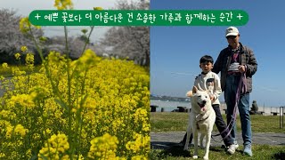 🏝️ 예쁜 꽃보다 더 아름다운 건 소중한 가족과 함께하는 이 순간 ✨(제주도 한달살기 EP.9)