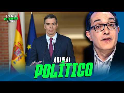 JOSÉ M. VILLARROYA: "PEDRO SÁNCHEZ, ESTÁ APARECIENDO COMO EL LÍDER EUROPEO QUE SE PLANTA ANTE TRUMP"