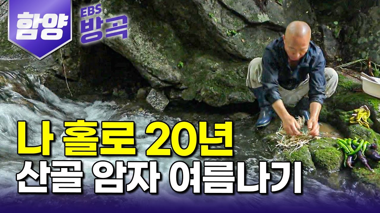 [경남 함양] 절터만 남아있던 버려진 암자 일구려 들어와 20년, 흔한 꽃잎 하나도 귀하게 여기며 홀로 산사에서 수행하는 스님｜향운암｜#한국기행 #방방곡곡