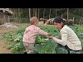 Growing vegetables and weeding the garden: Life of single mother Ly Tieu Ca