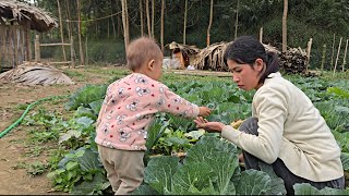 Download Lagu Growing vegetables and weeding the garden: Life of single mother Ly Tieu Ca MP3