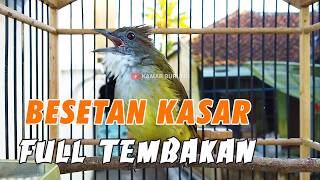 MASTERAN CUCAK JENGGOT GACOR FULL BESETAN SUPER MEWAH COCOK UNTUK MURAI BATU