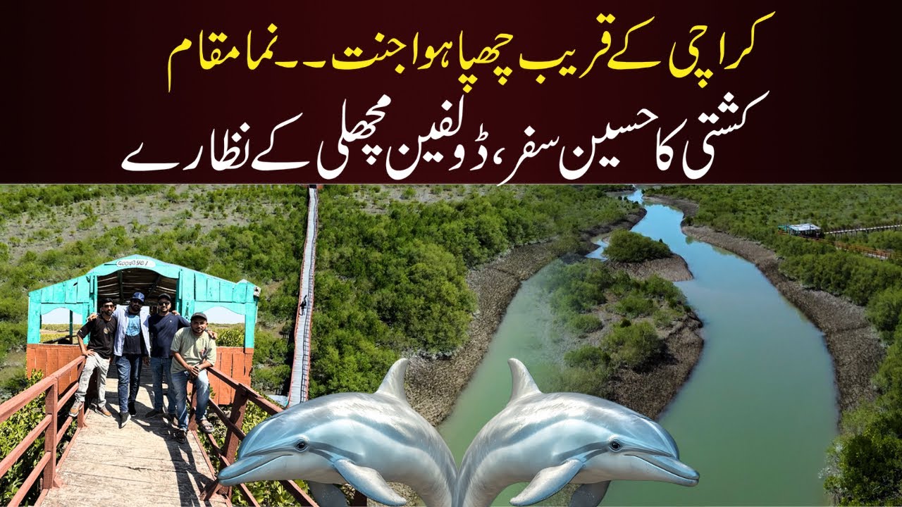 🌊 “Hidden Paradise Near Karachi | Dolphins, Mangroves & Picnic Point”