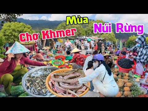 Xôn xao đặc sản núi rừng Khmer cá đồng rắn đổ đống bán rẻ chợ Xóm Bún An Giang
