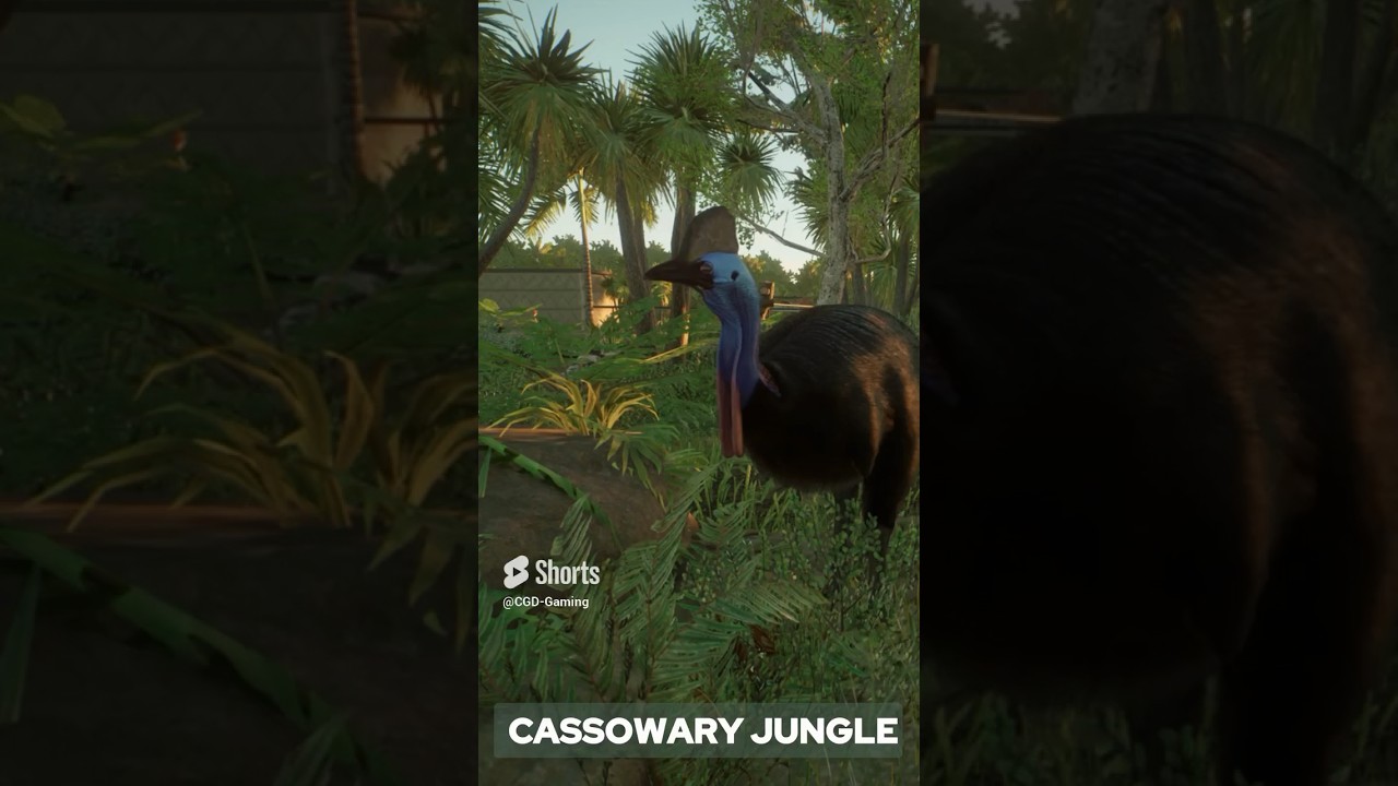 CASSOWARY JUNGLE | Habitat Redo 