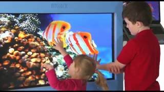 Visilift Mobile Interactive Screen