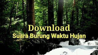 Efek Suara Burung Terapi Air | Durasi Pendek