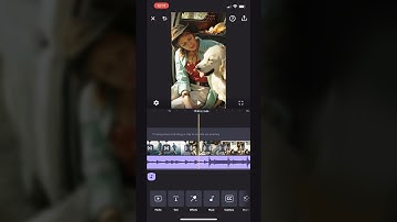 Splice: The Basics
