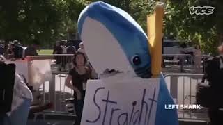 Shark says straight lives matter.