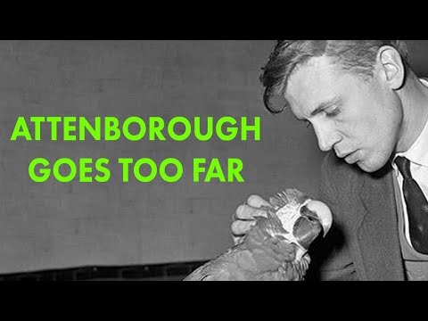 Attenborough Plays Pranks On Animals | Forgotten History