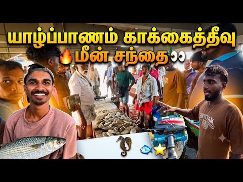 யாழ் காக்கைத்தீவு மீன் சந்தை| Jaffana Kakaithivu| Fish Market | Go with Joe