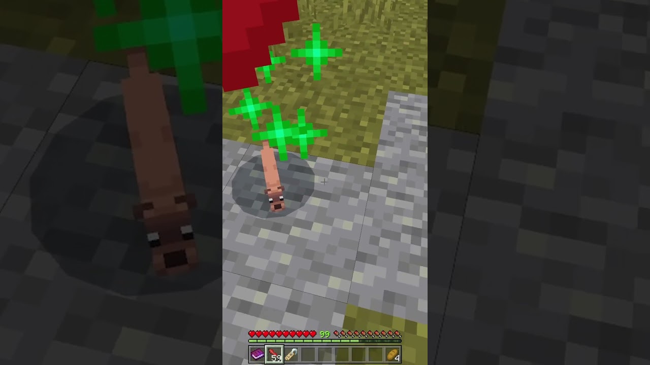 Weasel Pet in Minecraft BE/PE