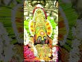 #TempleVibes#GoddessWorship#Spirituality#Devotional Music#MarathiCulture
