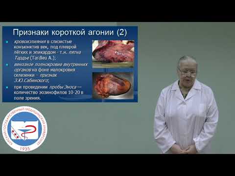 ФОНД ПЕДАГОГИЧЕСКОГО НАСЛЕДИЯ. З.М. Лунева. Судебная танатология