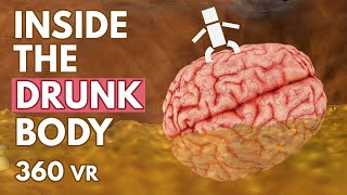 What Happens Inside Your Drunk Body?  VR 360°