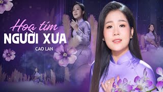 Hoa Tím Người Xưa - Ca Sĩ Cao Lan Giọng Ca Bolero Làm Say Mê Triệu Con Tim