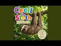 Cecil The Sloth