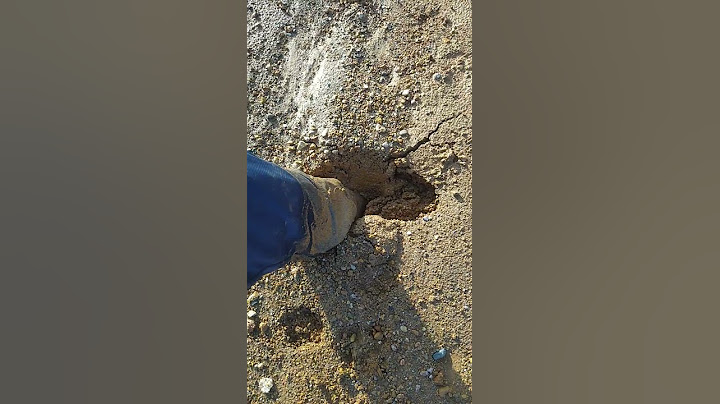Atrapado en el barro
