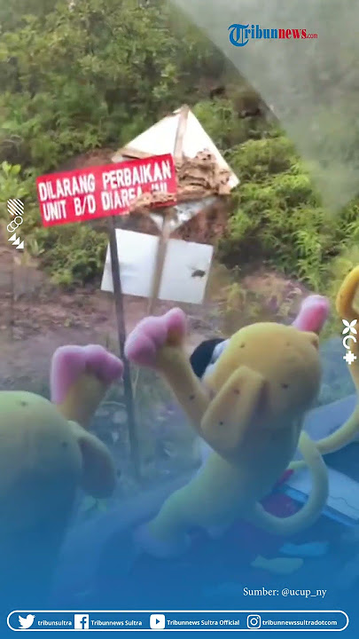 Momen Sopir Truk Dibikin Panik Usai Tabrak Sarang Tawon, Mobilnya Dikepung Lebah