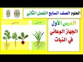 الدرس الثاني ( الجهاز الوعائي  ) الثغور النتح اوعية الخشب اللحاء العلوم الصف السابع الفصل الثاني