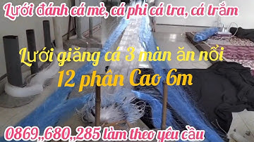 lưới đánh cá ăn nổi mắt 12 phân cao 6m lưới đánh cá mè phi cá tra cá trắm cá chép lưới đánh cá 3 màn