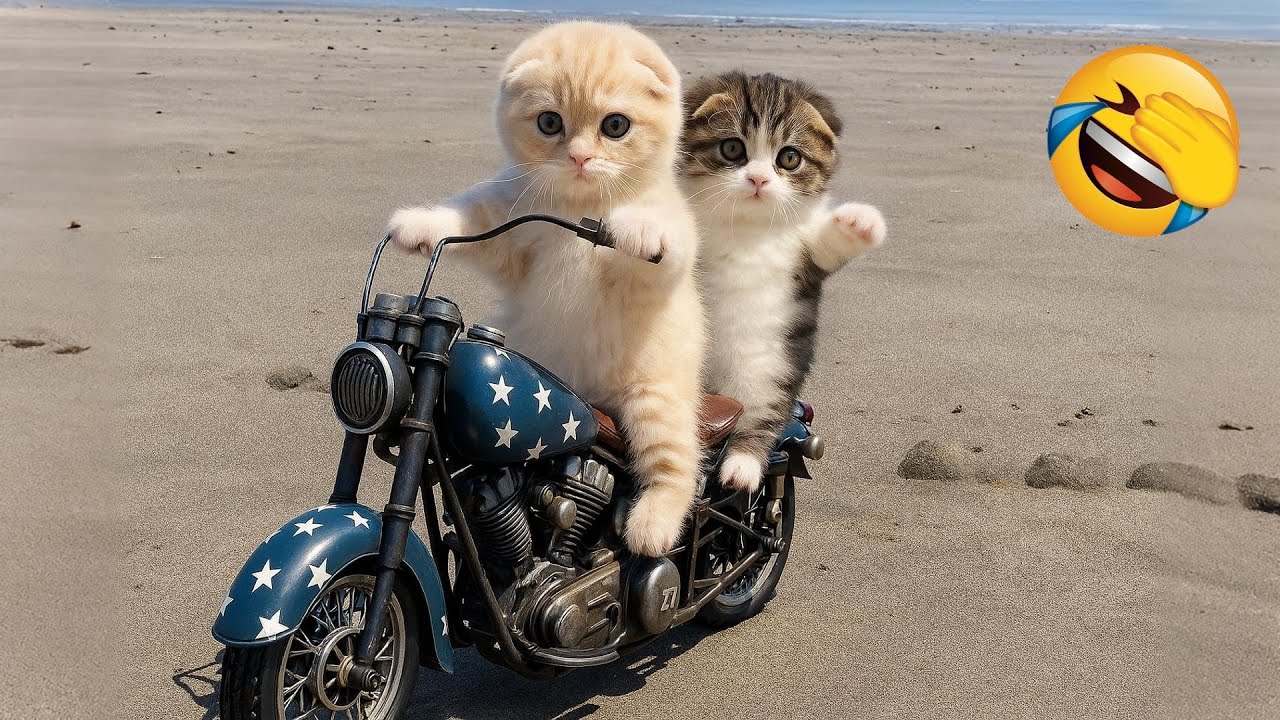 Приготовьтесь смеяться над этими забавными кошками и собаками! 😅