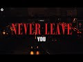 I WILL NEVER LEAVE YOU MP Lyrics Video
