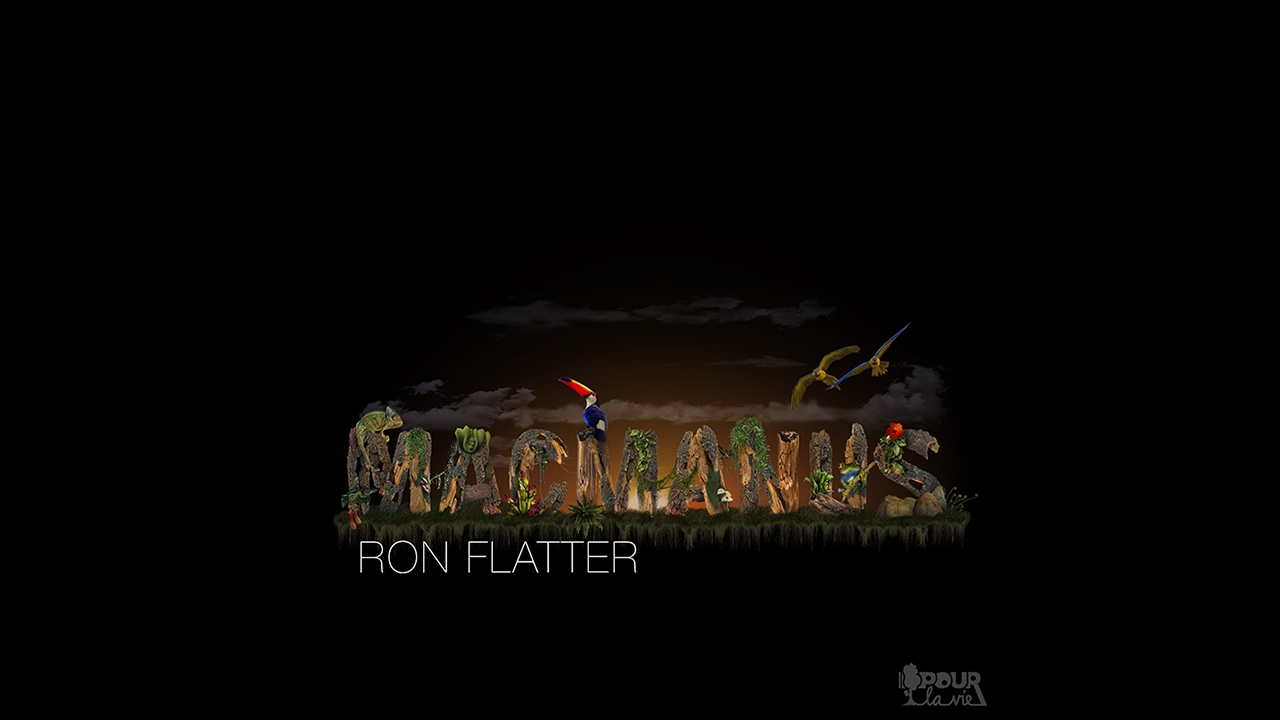 Watch Ron Flatter - Magic Carpet - PLV020 on YouTube Watch Ron Flatter - Magic Carpet - PLV020 on YouTube