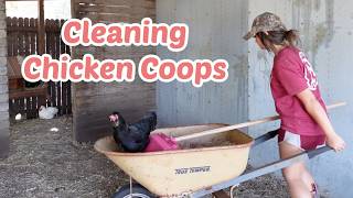 Homestead Vlog - Cleaning Chicken Coop