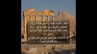 آثار مدينة تدمر - سورية - أرتيزانا سورية