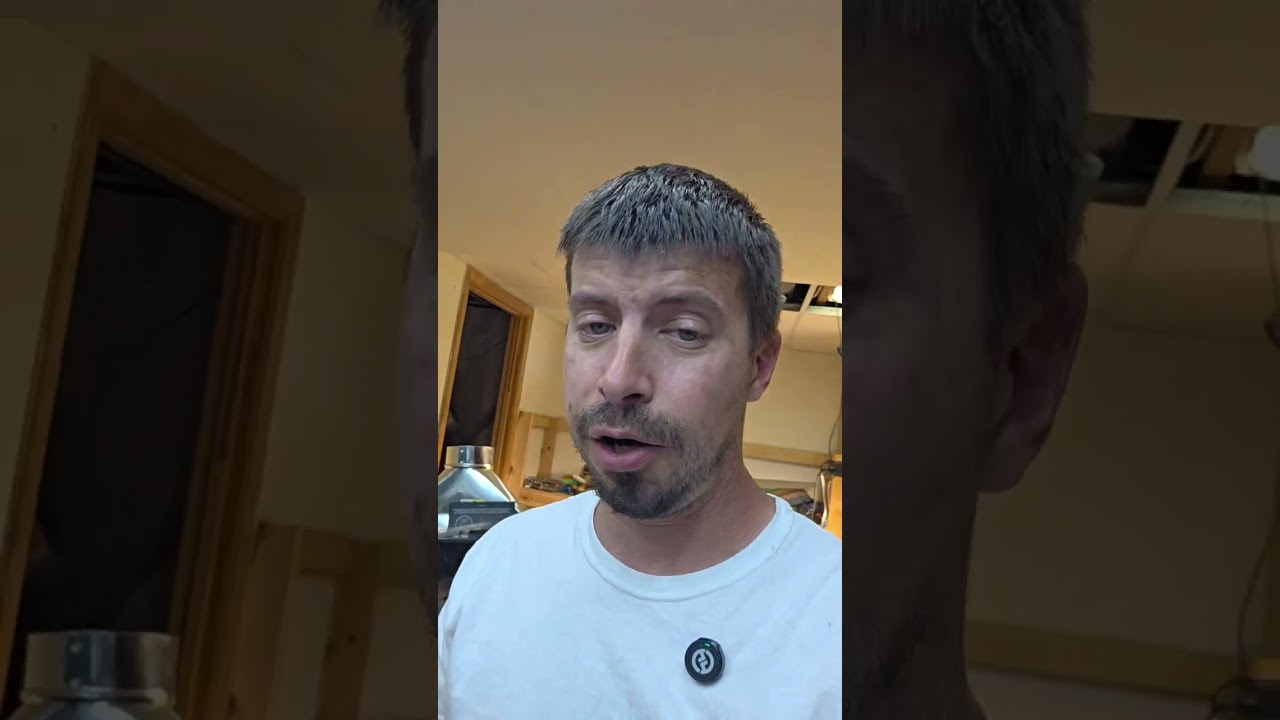 lets try a autoflower in the countertop hydro garden from letpot.