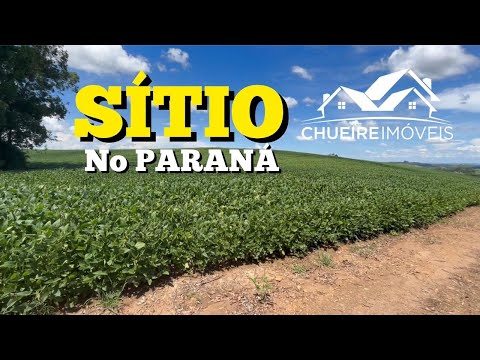 Capa do vídeo EXCELENTE SÍTIO NO PARANÁ COM PLANTIO DE SOJA E CASA