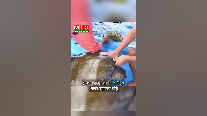 সমুদ্রের মাঝখানে এ ঘটনা না দেখলে বিশ্বাস করা অসম্ভব!🤯😳 #Mayajaal #unknownfacts #Sharks #viralshorts
