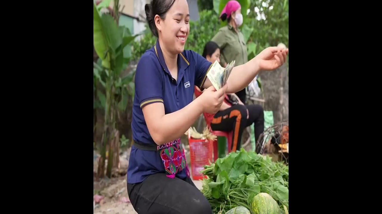 Harvesting Pumpkin  Vegetables Garden Goes to the market sell