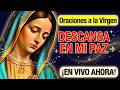 🔴 ROSARIO de HOY y Oraciones por la PAZ 🕊️ en el mundo 🌎: Descansa con la Virgen de Guadalupe 🙏✨