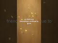 2 Rules of True Friendship You Must Know 💯 | Hazrat Ali quotes
