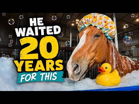 Thumbnail for Roman’s First Bath at 20 Years Old! 