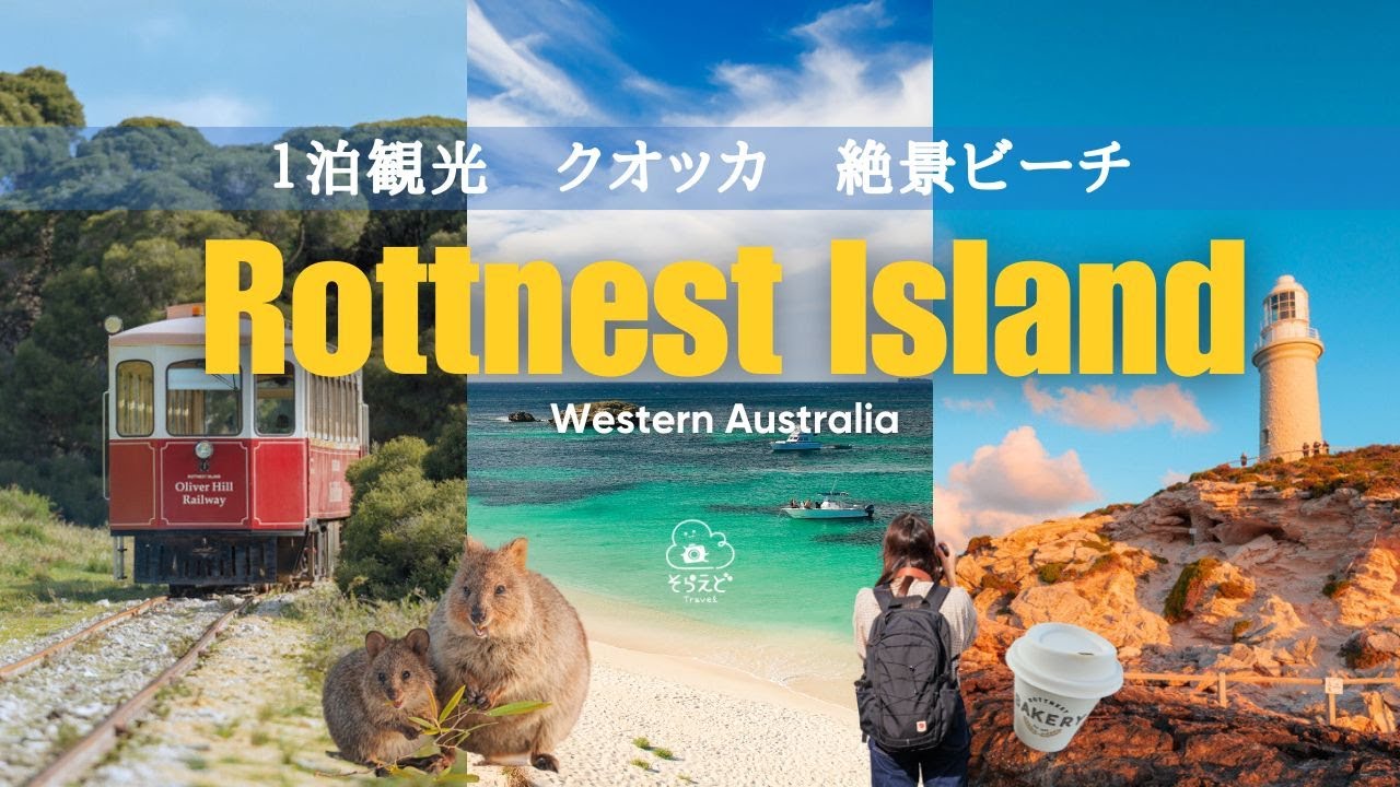 可愛すぎるクオッカと絶景ビーチのサンセットを満喫！ロットネスト島1泊旅【パース観光】