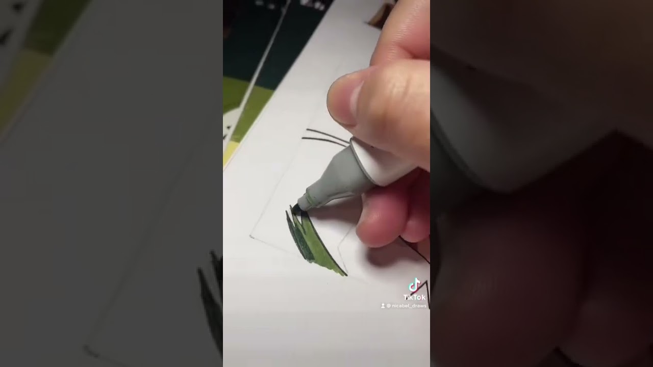 Coloring Levi Ackerman